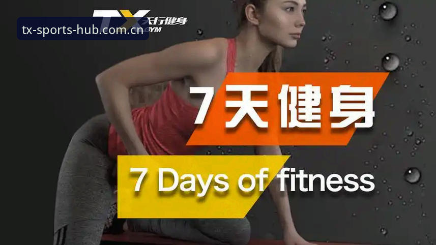 天行体育手机版直接装观看直播详解